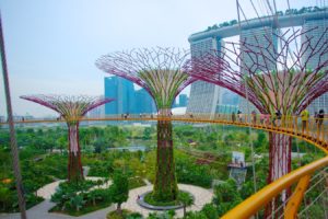39525-Singapore-Gardens-By-The-Bay