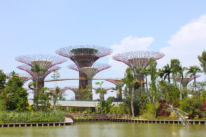 Giardini-e-architettura-a-Singapore-Gardens-by-the-bay