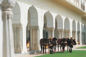 Signature_Experiences_Spectacular_Arrival_RAMBAUGPALACE_JAIPUR_18-3x2